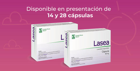 Lasea presentaciones